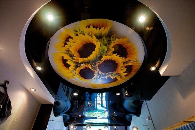 Купить натяжной потолок с фотопечатью в г. Полевской Заказать натяжной потолок с фотопечатью в г. Полевской